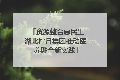 资源整合惠民生 湖北柠月集团推动医养融合新实践