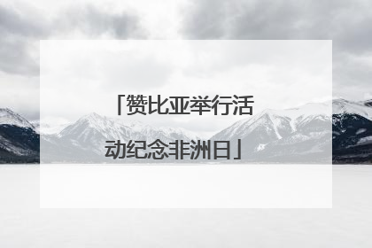 赞比亚举行活动纪念非洲日