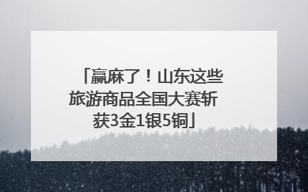 赢麻了！山东这些旅游商品全国大赛斩获3金1银5铜