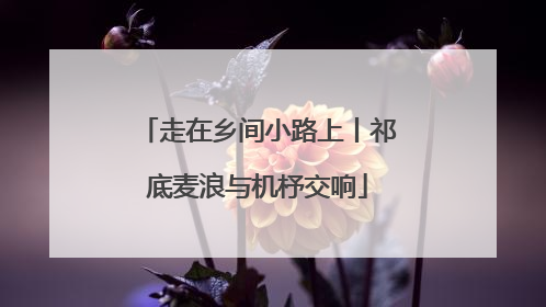 走在乡间小路上丨祁底麦浪与机杼交响