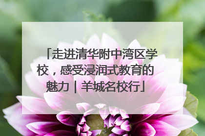 走进清华附中湾区学校，感受浸润式教育的魅力｜羊城名校行