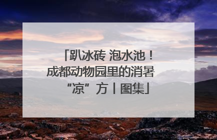 趴冰砖 泡水池！成都动物园里的消暑“凉”方丨图集