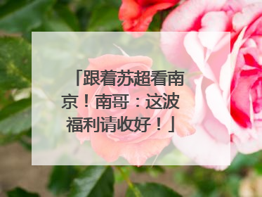 跟着苏超看南京！南哥：这波福利请收好！
