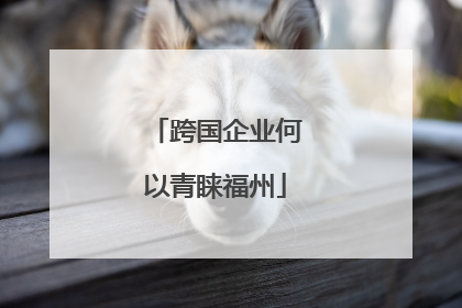 跨国企业何以青睐福州