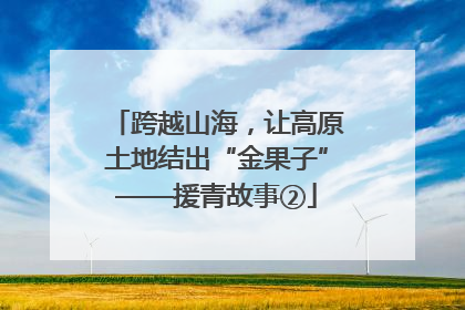 跨越山海，让高原土地结出“金果子”——援青故事②