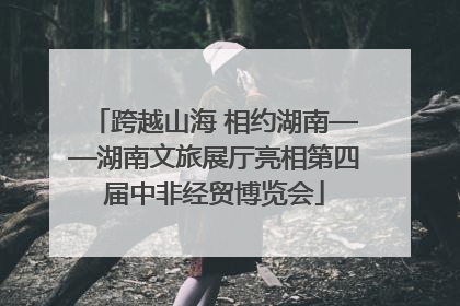 跨越山海 相约湖南——湖南文旅展厅亮相第四届中非经贸博览会