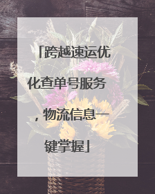 跨越速运优化查单号服务，物流信息一键掌握