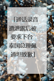 通话录音遭泄露后被要求下台 泰国总理佩通坦致歉