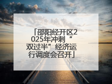 邵阳经开区2025年冲刺“双过半”经济运行调度会召开