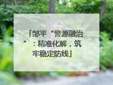 邹平“警源融治”：精准化解，筑牢稳定防线