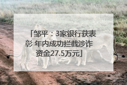 邹平：3家银行获表彰 年内成功拦截涉诈资金27.5万元