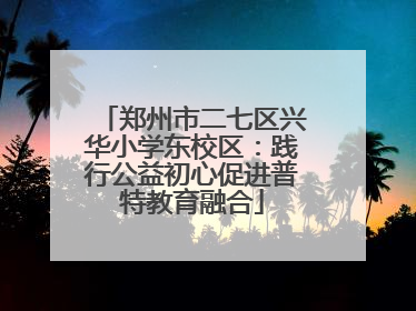 郑州市二七区兴华小学东校区：践行公益初心促进普特教育融合