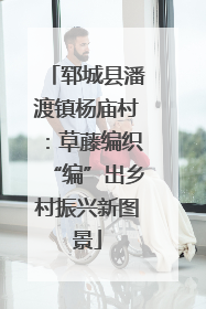 郓城县潘渡镇杨庙村：草藤编织“编”出乡村振兴新图景