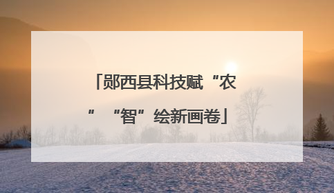 郧西县科技赋“农”“智”绘新画卷
