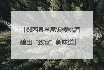 郧西县羊尾镇樱桃酒酿出“致富”新味道