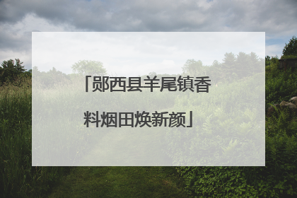 郧西县羊尾镇香料烟田焕新颜