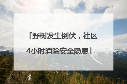 野树发生倒伏，社区4小时消除安全隐患