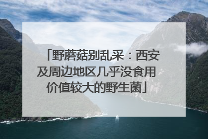 野蘑菇别乱采：西安及周边地区几乎没食用价值较大的野生菌