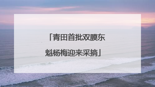 青田首批双膜东魁杨梅迎来采摘