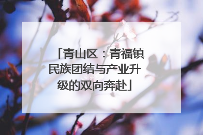 青山区：青福镇民族团结与产业升级的双向奔赴