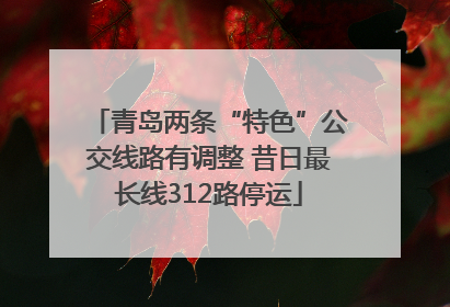 青岛两条“特色”公交线路有调整 昔日最长线312路停运