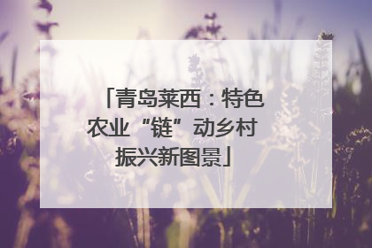 青岛莱西：特色农业“链”动乡村振兴新图景