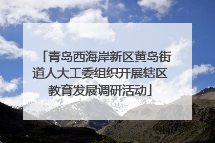 青岛西海岸新区黄岛街道人大工委组织开展辖区教育发展调研活动