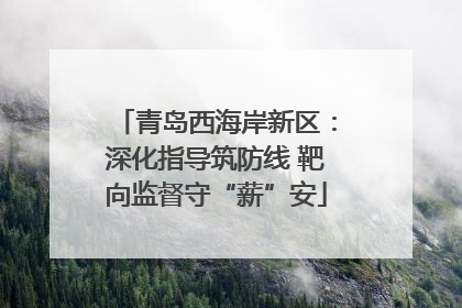 青岛西海岸新区：深化指导筑防线 靶向监督守“薪”安