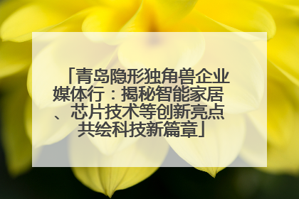 青岛隐形独角兽企业媒体行：揭秘智能家居、芯片技术等创新亮点 共绘科技新篇章