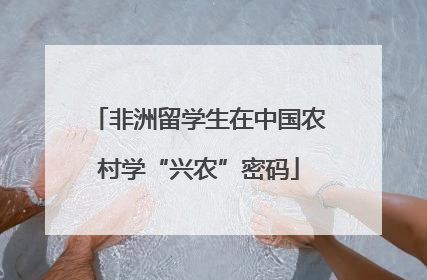 非洲留学生在中国农村学“兴农”密码
