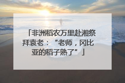 非洲稻农万里赴湘祭拜袁老：“老师，冈比亚的稻子熟了”