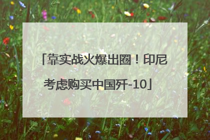 靠实战火爆出圈！印尼考虑购买中国歼-10