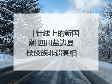 针线上的新国潮 四川盐边县傈僳族非遗亮相西博会｜图集