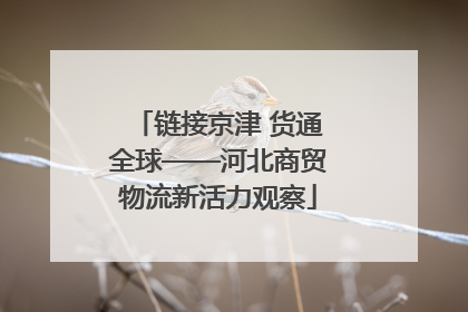 链接京津 货通全球——河北商贸物流新活力观察