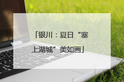银川：夏日“塞上湖城”美如画