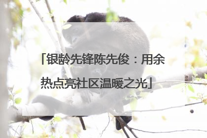 银龄先锋陈先俊：用余热点亮社区温暖之光
