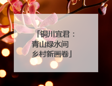 铜川宜君：青山绿水间 乡村新画卷