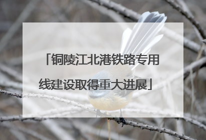 铜陵江北港铁路专用线建设取得重大进展