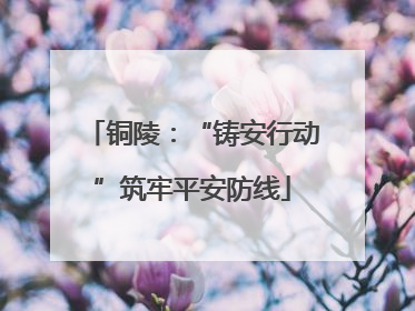 铜陵：“铸安行动”筑牢平安防线