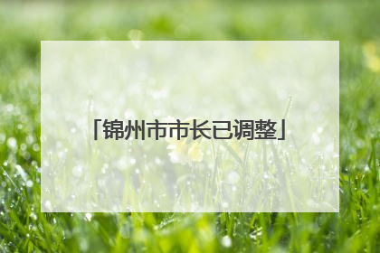 锦州市市长已调整