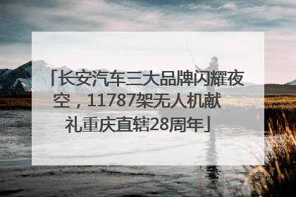 长安汽车三大品牌闪耀夜空，11787架无人机献礼重庆直辖28周年