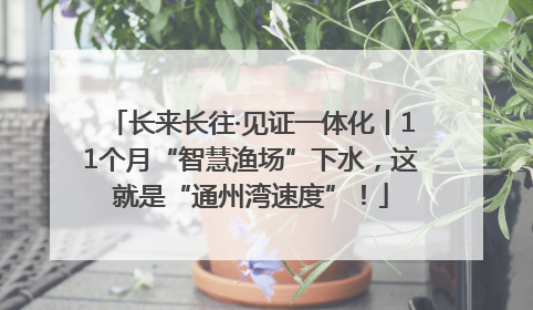 长来长往·见证一体化丨11个月“智慧渔场”下水，这就是“通州湾速度”！