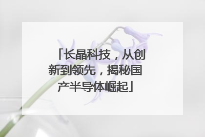 长晶科技，从创新到领先，揭秘国产半导体崛起