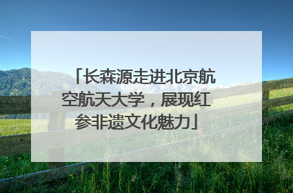 长森源走进北京航空航天大学，展现红参非遗文化魅力