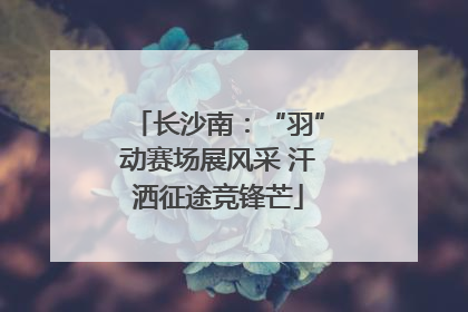 长沙南：“羽”动赛场展风采 汗洒征途竞锋芒
