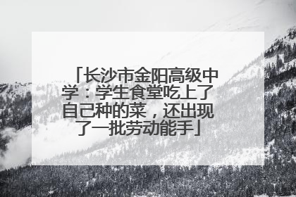 长沙市金阳高级中学：学生食堂吃上了自己种的菜，还出现了一批劳动能手
