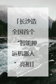 长沙造全国首个“智能押运机器人”亮相