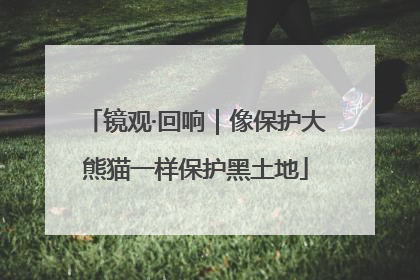 镜观·回响｜像保护大熊猫一样保护黑土地