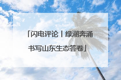 闪电评论丨绿潮奔涌 书写山东生态答卷
