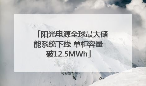 阳光电源全球最大储能系统下线 单柜容量破12.5MWh